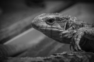 恋愛相談を聞いて欲しいあなたにおすすめのアドバイスは？