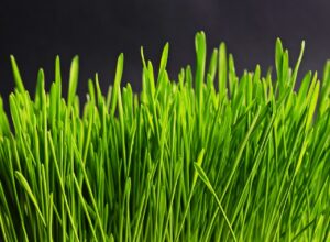 別れの前兆として連絡が減った理由とは？