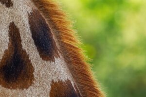 彼女との連絡が減った理由とは何か？