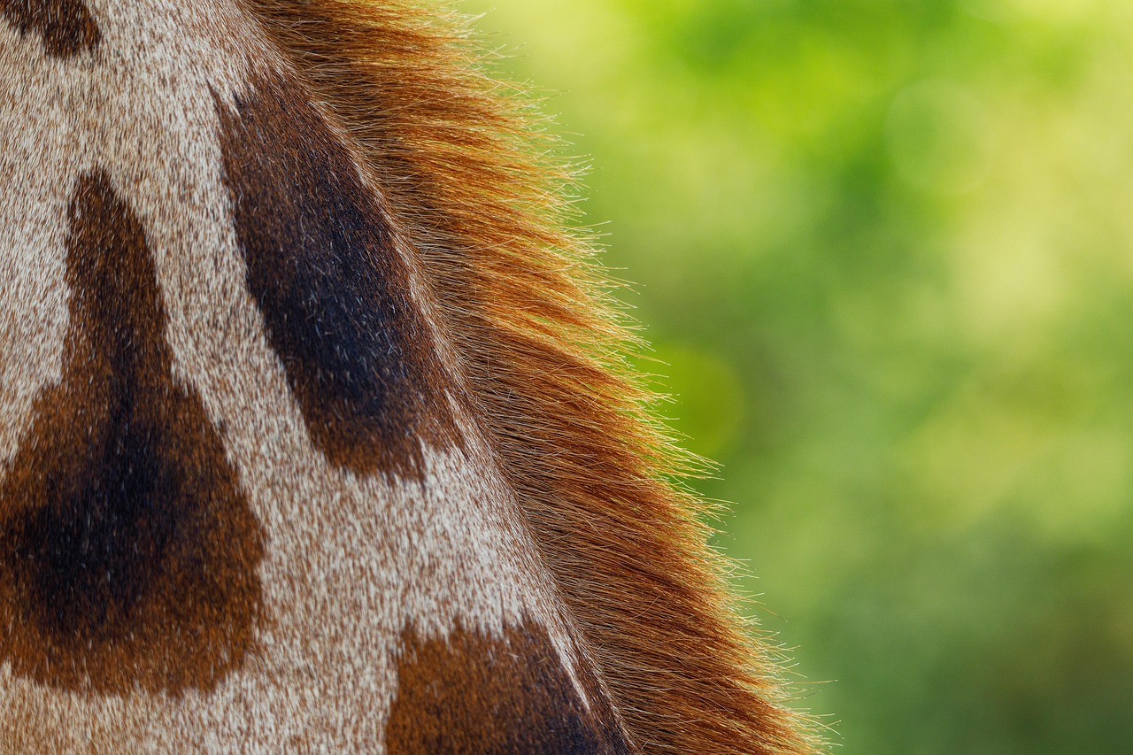 彼女との連絡が減った理由とは何か？