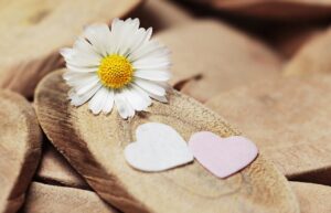 恋愛診断で本気度を測るテストはどのように行う？