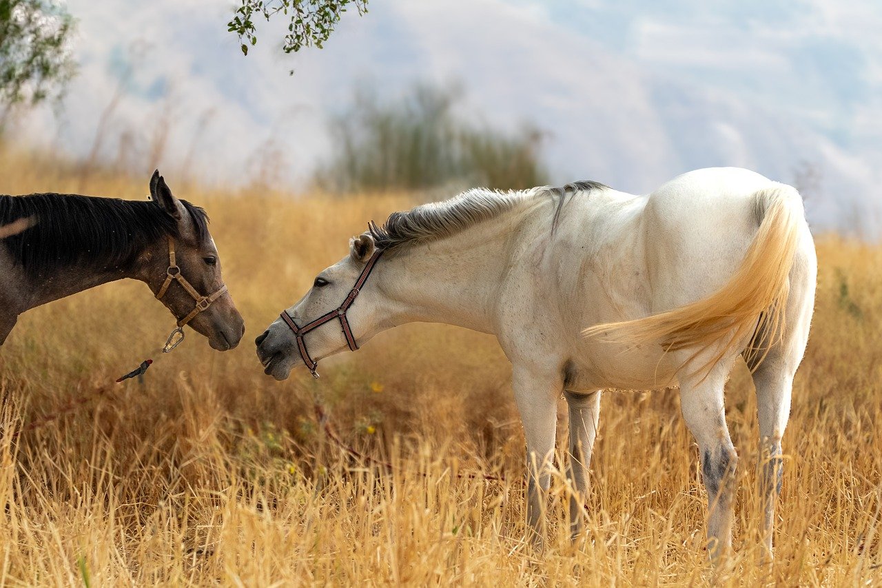 優しいのに付き合わない男性の心理とは何か？