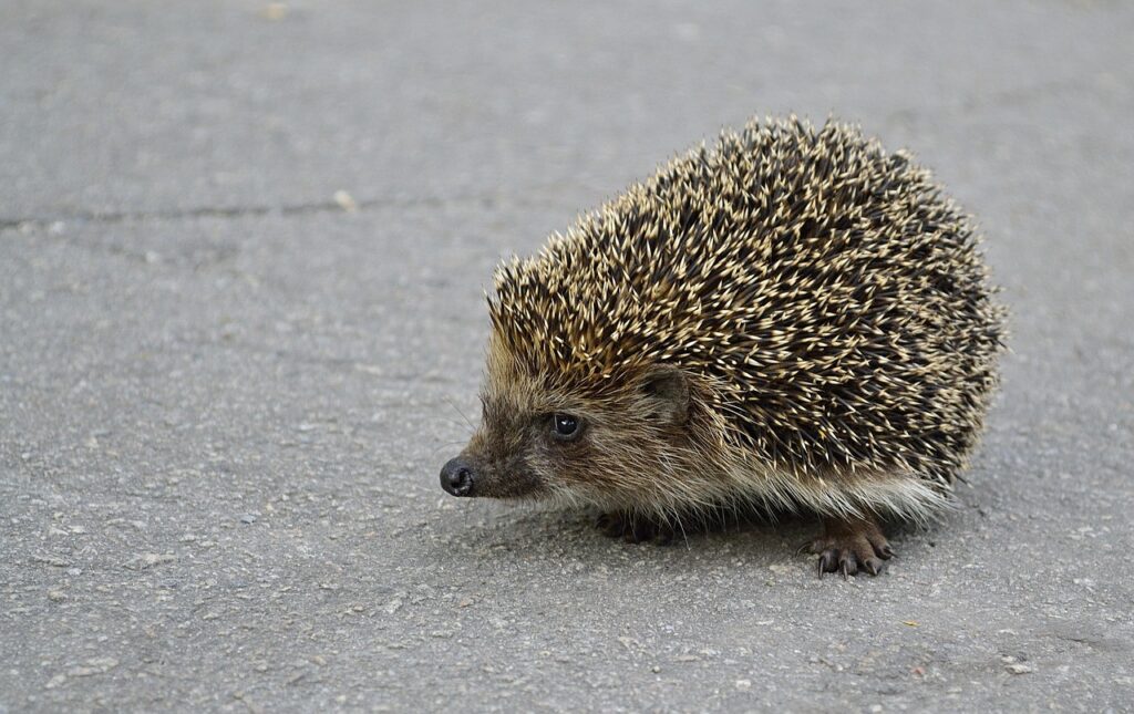 傷つきやすい恋愛を卒業するための心のケア方法は？