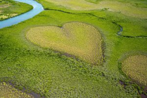 心のモヤモヤを解消するために誰に相談したいですか？