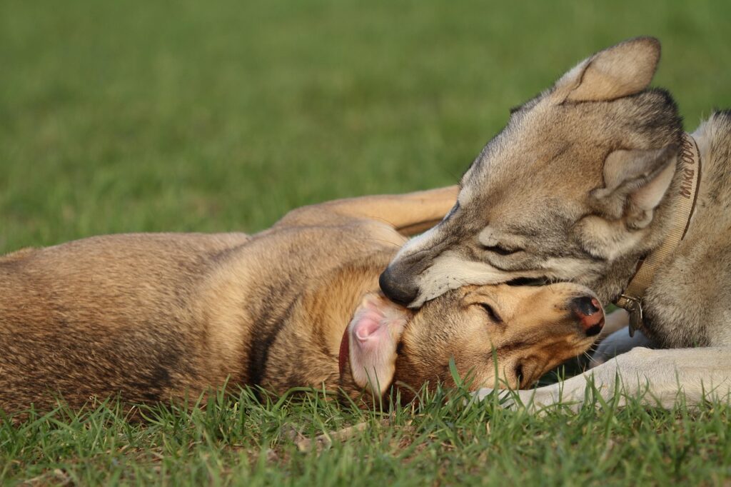 恋愛の優先順位が分からない時に考慮すべきポイントは？