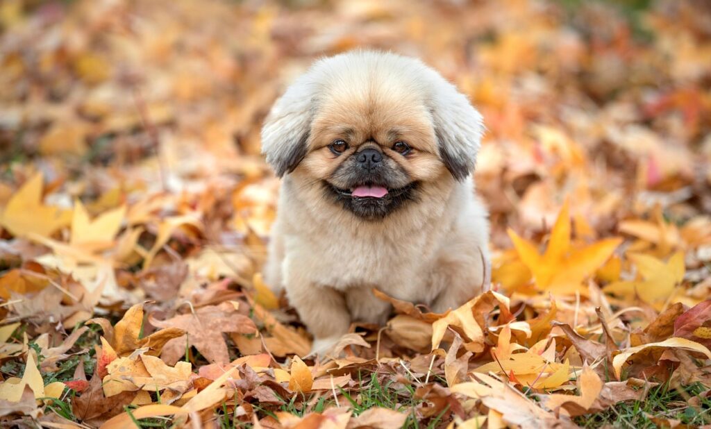 彼が会う頻度が減った理由とその対策は？