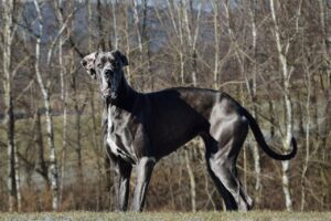 彼が忙しいだけって本当なの？