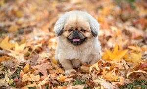 恋愛を長続きさせるために女性が心掛けるべきポイントは？