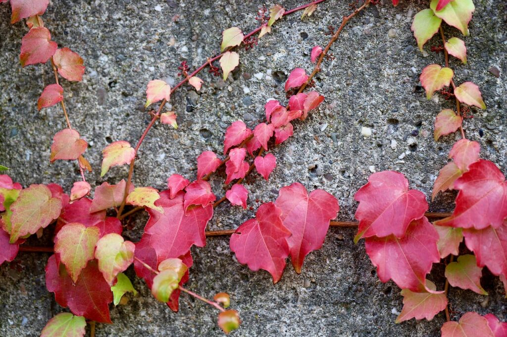 恋愛におけるセルフコミュニケーションの重要性とは？