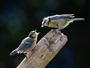 付き合ってるのに不安、別れるべきかどうかの判断基準は？