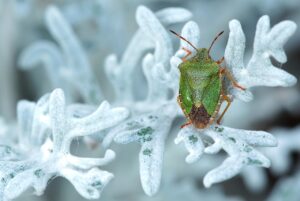 忙しいと言う彼の本当の気持ちは何？